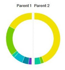 Ancestry DNA - SideView - Ethnicity Inheritance