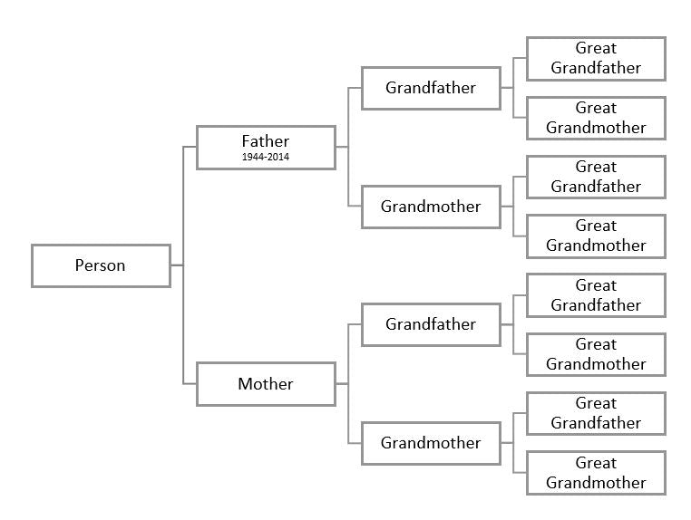 Using Microsoft SmartArt for Family Tree Display