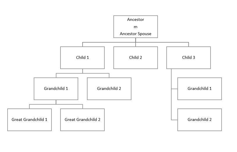 Using Microsoft SmartArt for Family Tree Display
