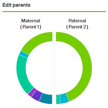 Ancestry Sideview - Edit Parent labels