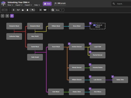 Screenshot of a BanyanDNA family tree showing multiple generations of relatives, used to demonstrate moving an entire branch of a DNA research tree by holding the Alt key while dragging a person.