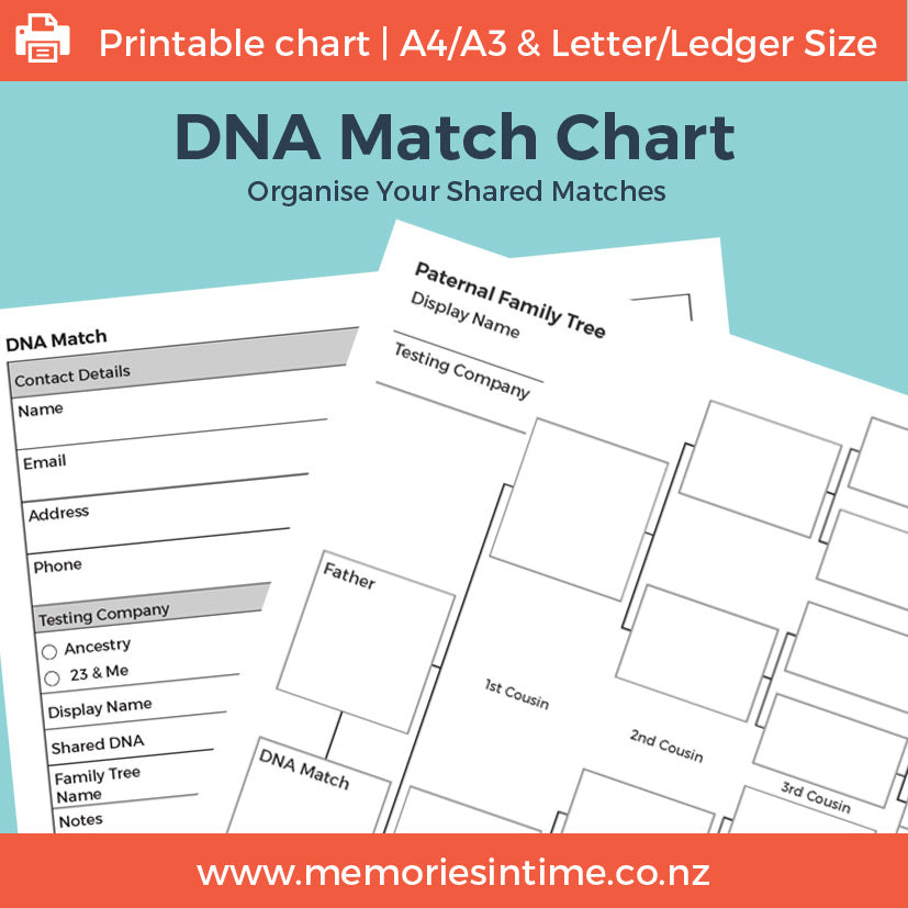 DNA Match Chart - Downloadable