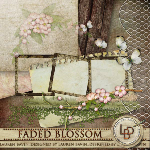 Faded Blossom